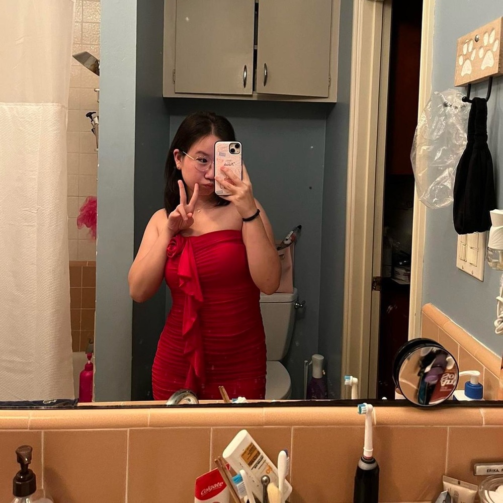 Red Rose Strapless Mini Dress